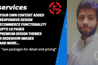maintain develop and update wordpress website