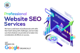 do website SEO services, wordpress, shopify, custom, and technical optimization