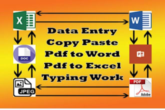 do data entry, pdf to excel or word and copy paste