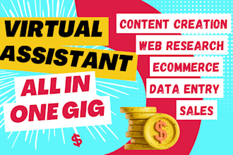 be virtual assistant for web research, social media and ecommerce