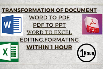 convert PPT to excel,PDF to word,PDF to excel in 1 hour