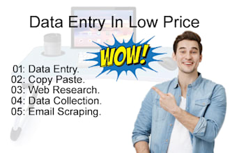 do data entry in low price
