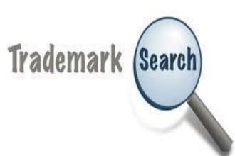 conduct trademark and patent searches and prepare the search reports