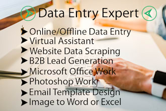do fastest data entry, website scraping, data collection, best virtual assistant