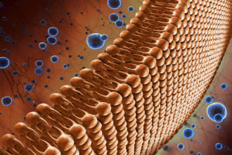 design 3d medical and scientific illustration