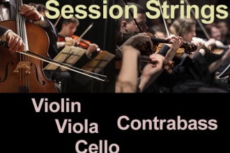 string session recording, violin,viola, cello and contrabass