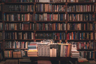 do critical and  literary analysis of any literary work