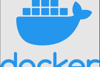docker setup , docker services