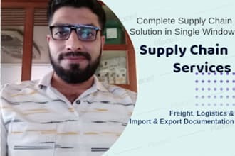 pro supply chain services for freight logistics, import and export documentation