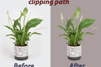 clipping path and cutout background removal service