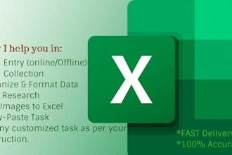 be your virtual assistant for web scrapping, excel expert