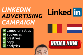 set up a linkedin campaign with high quality ads