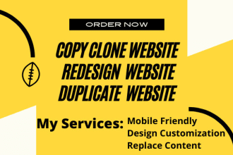 copy, clone or duplicate any website professionally