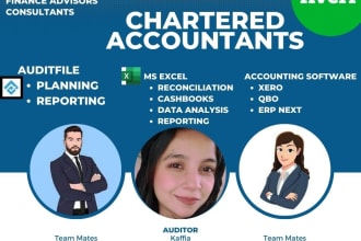 do accounting and audit as a senior auditor