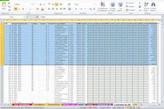 provide you advanced excel services  functions, formulas vba automation