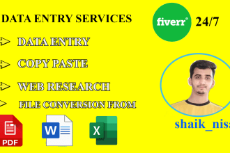 do big data entry