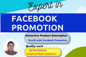 do organic facebook marketing and promotion to millions of visitors