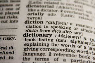 assist you in all areas of linguistics