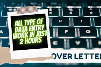 do fastest accurate data entry, data typing in 2 hours