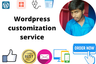 build your wordpress site and customization service