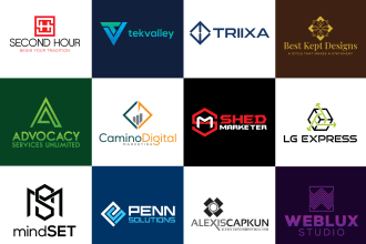 design high quality geometric logo design