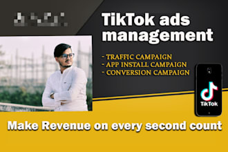 run tik tok ads campaign and manage your business