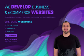build responsive wordpress website or ecommerce online store