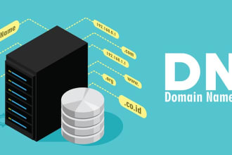 provide expert dns related solutions