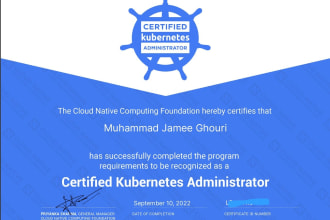 provide expert kubernetes related solutions