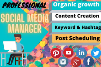 be your talented social media manager and content creator