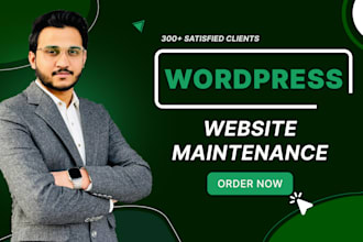 do wordpress website maintenance fix wordpress issues woocommerce