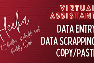 do data entry , data scrapping and copy paste tasks