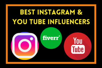 find best instagram and you tube influencer for your niche