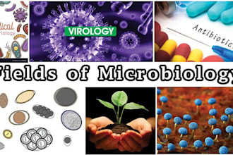 write all about microbiology, biology, ecology, virology,etc