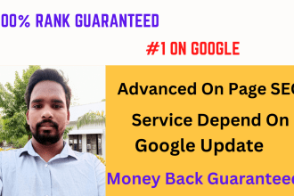do onpage SEO  and technical  optimization of wordpress,joomla,wix