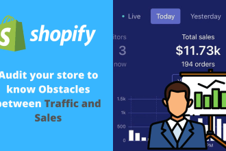 be your shopify and dropshipping consultant