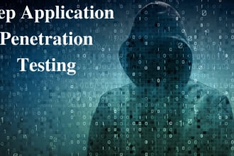 penetration test your website with professional report