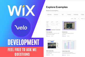 帮助您作为一个专家wix velo开发人员