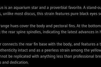 write original descriptions for your discus fish