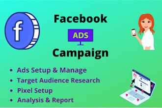 run facebook ads campaign