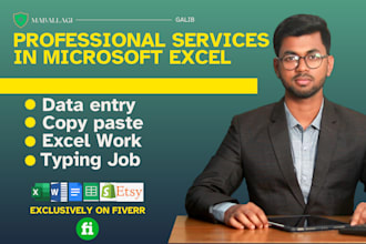 do professional data entry services in microsoft excel