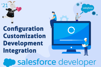 be your salesforce developer
