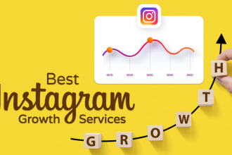 organically promote and manage to grow your instagram