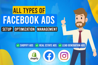 set up facebook and instagram ads campaigns, meta marketing and advertising