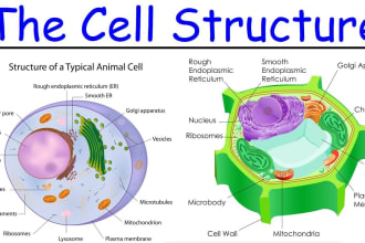 write cell biology ,histology, mycology, phycology, physiology task