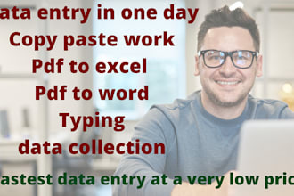 do fastest data entry in one day