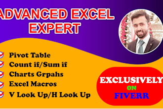 do excel expert advanced, vba, macros, formula, chart, dashboard and web tools