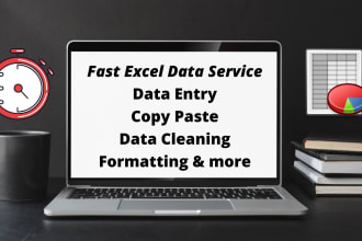 do timely, fast and accurate excel data entry