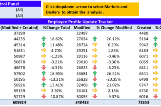 create excel formulas, models, data analysis, charts, graphs