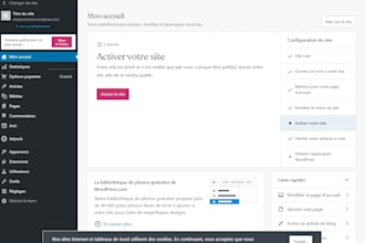 build a professional website with wordpress